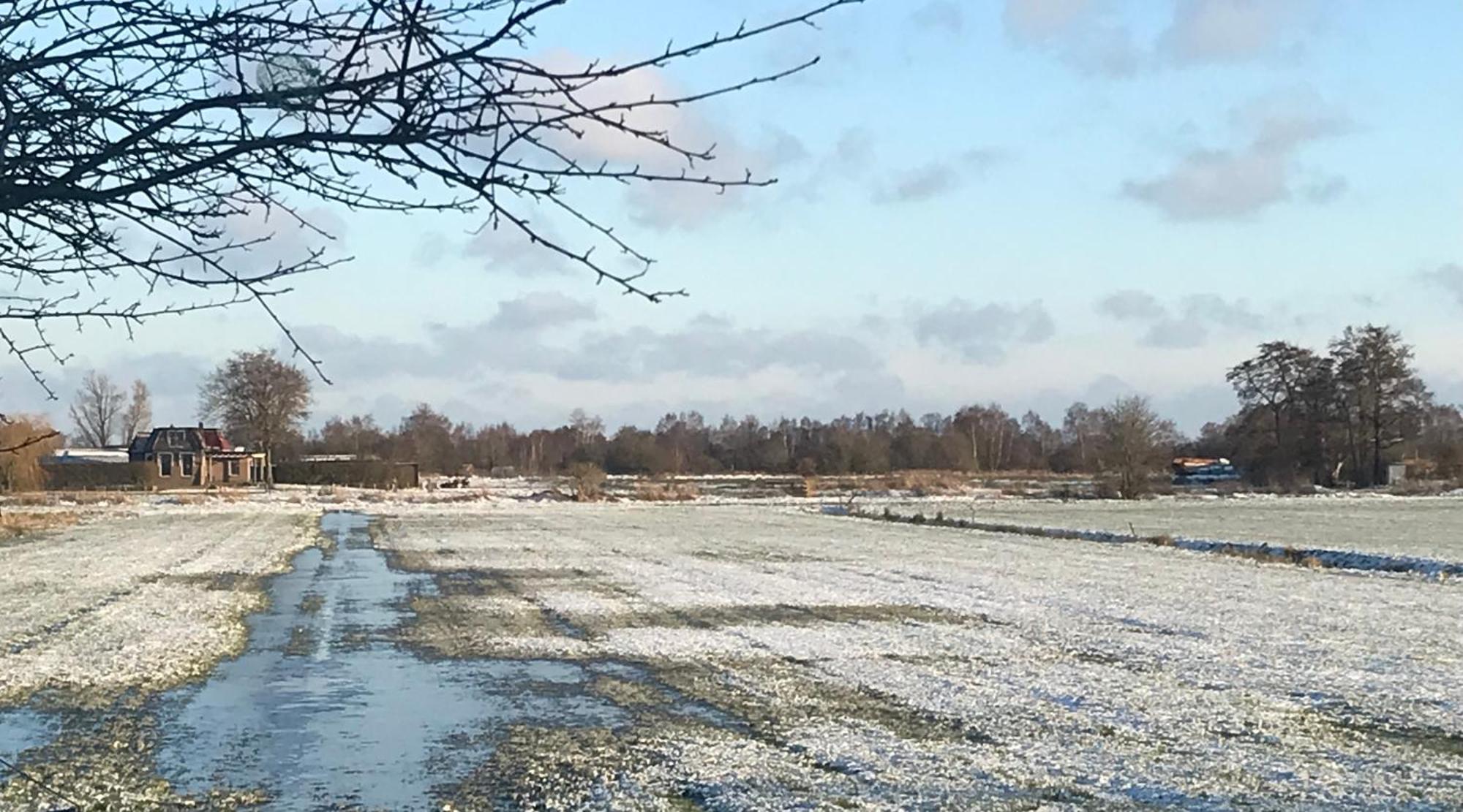 De Rietnymf Lägenhet Munnekeburen Exteriör bild