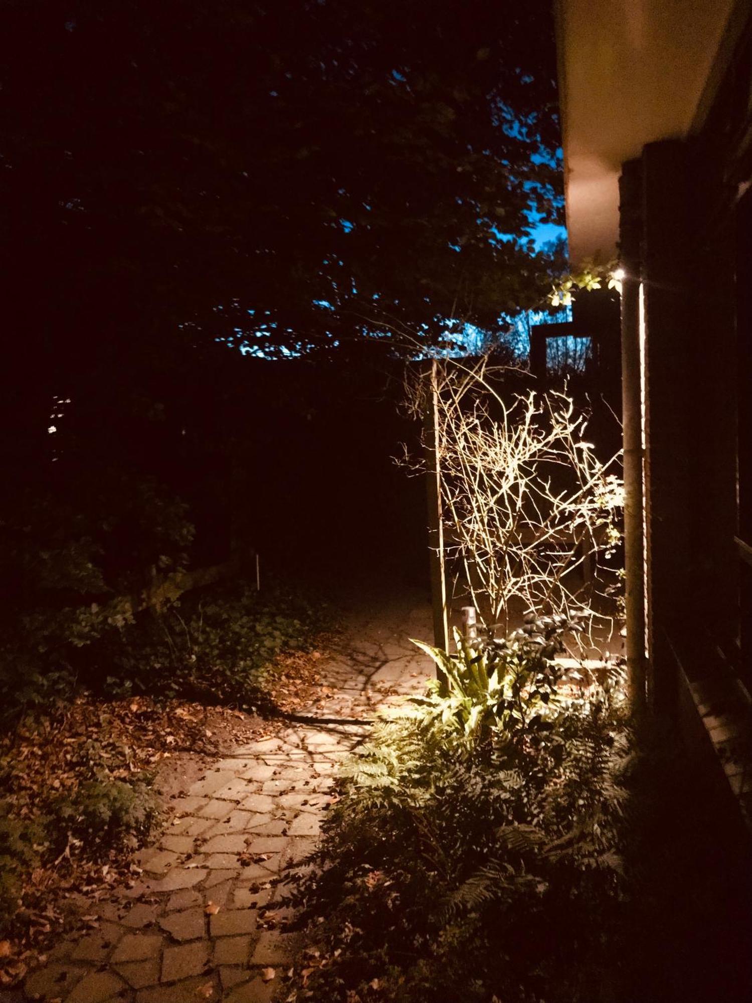 De Rietnymf Lägenhet Munnekeburen Exteriör bild